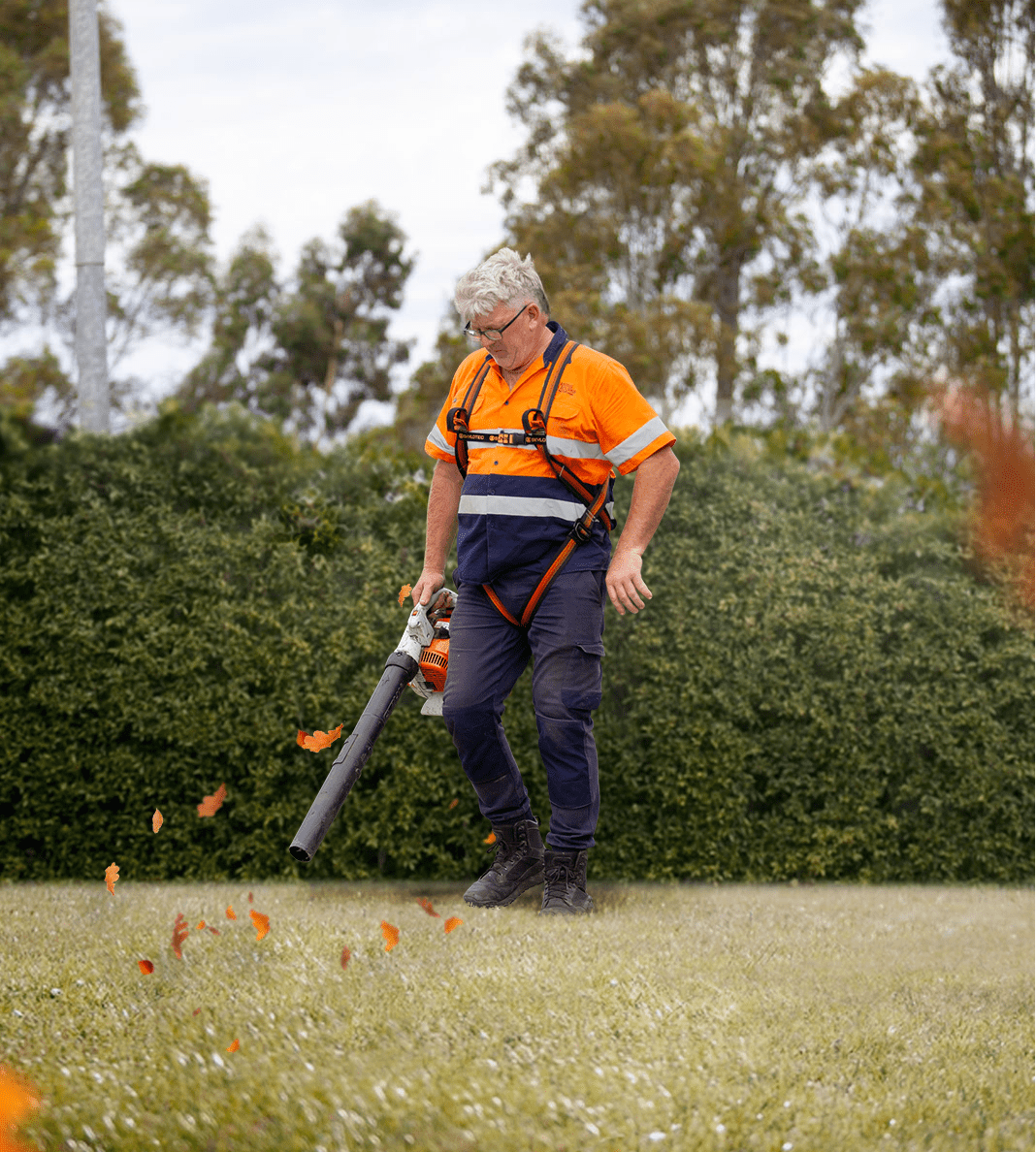 Cleaning Melbourne